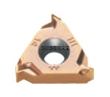 Купить 16IR14W HR5225 Пластина резьбовая в Казани